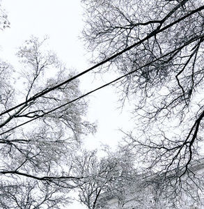 Meet your Posher, Yuliia